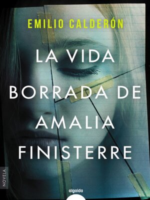 cover image of La vida borrada de Amalia Finisterre